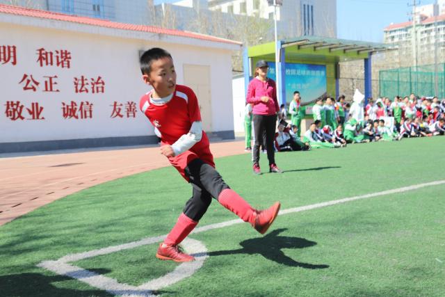 杜锋没下课？广东宏远这波操作，真相让人哭笑不得